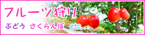フルーツ狩り