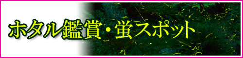 ホタル観賞・蛍スポット