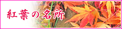 紅葉スポット