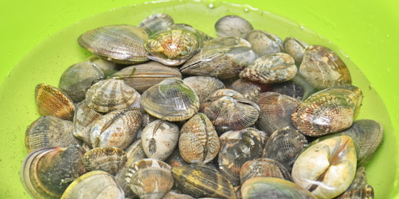 あさりの砂抜き