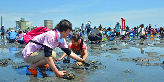 浜名湖の潮干狩り