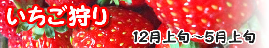 いちご狩り