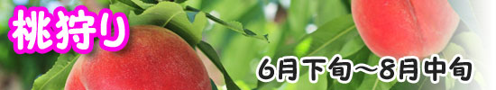 桃狩り