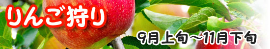 りんご狩り